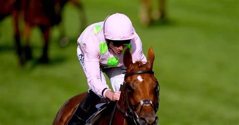 melbourne cup odds sportsbet|How To Bet On Melbourne Cup 2023 .